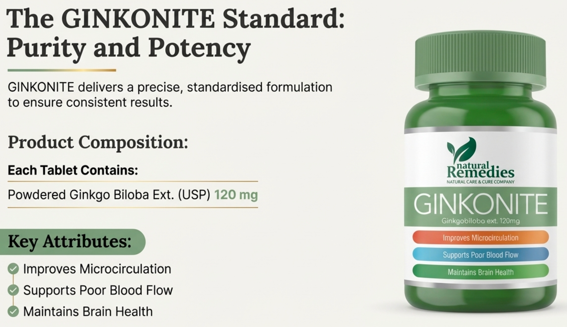 GINKONITE – Ginkgo Biloba Extract 120 mg Tablets 30s