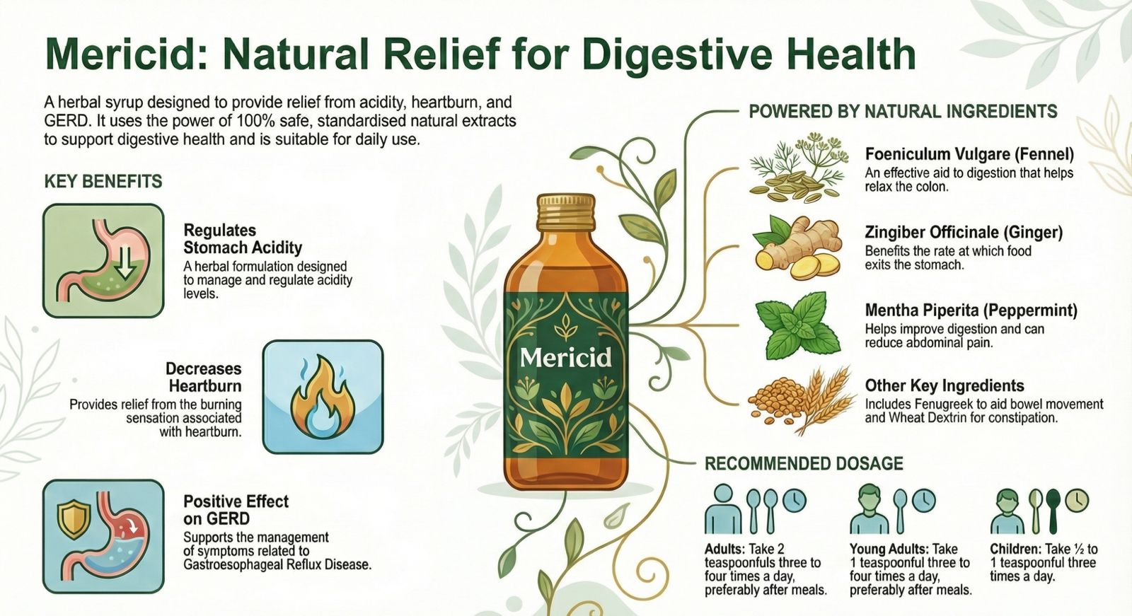 Mericid Digestive Health Syrup – Acidity & GERD Relief 120ml